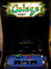 Galaga Arcade Video Game