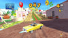 Sonic All Star Racing Driving Game