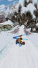 Super Alpine Racer Arcade Video Game